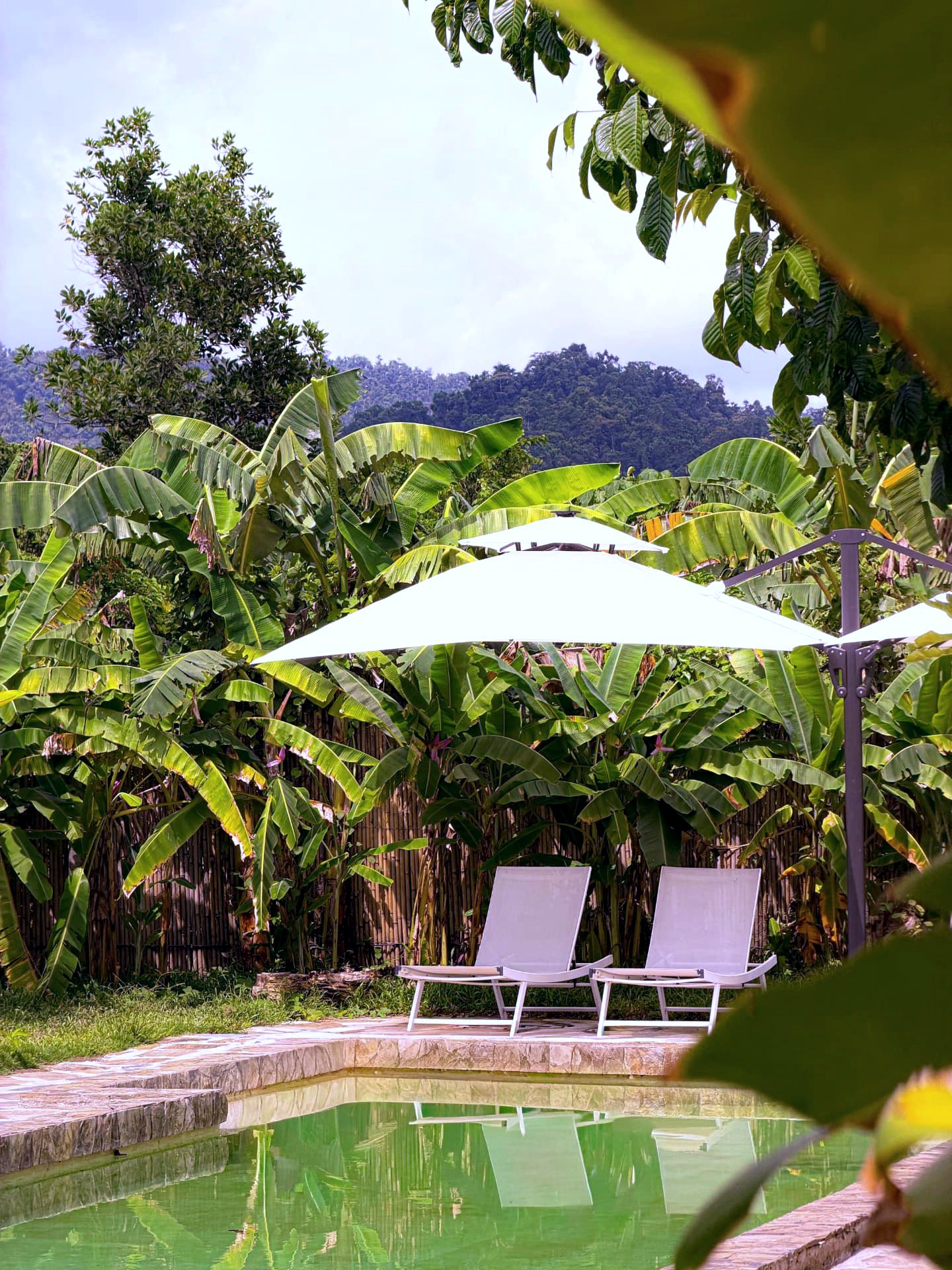 Sun loungers under parasols with jungle and mountain views
