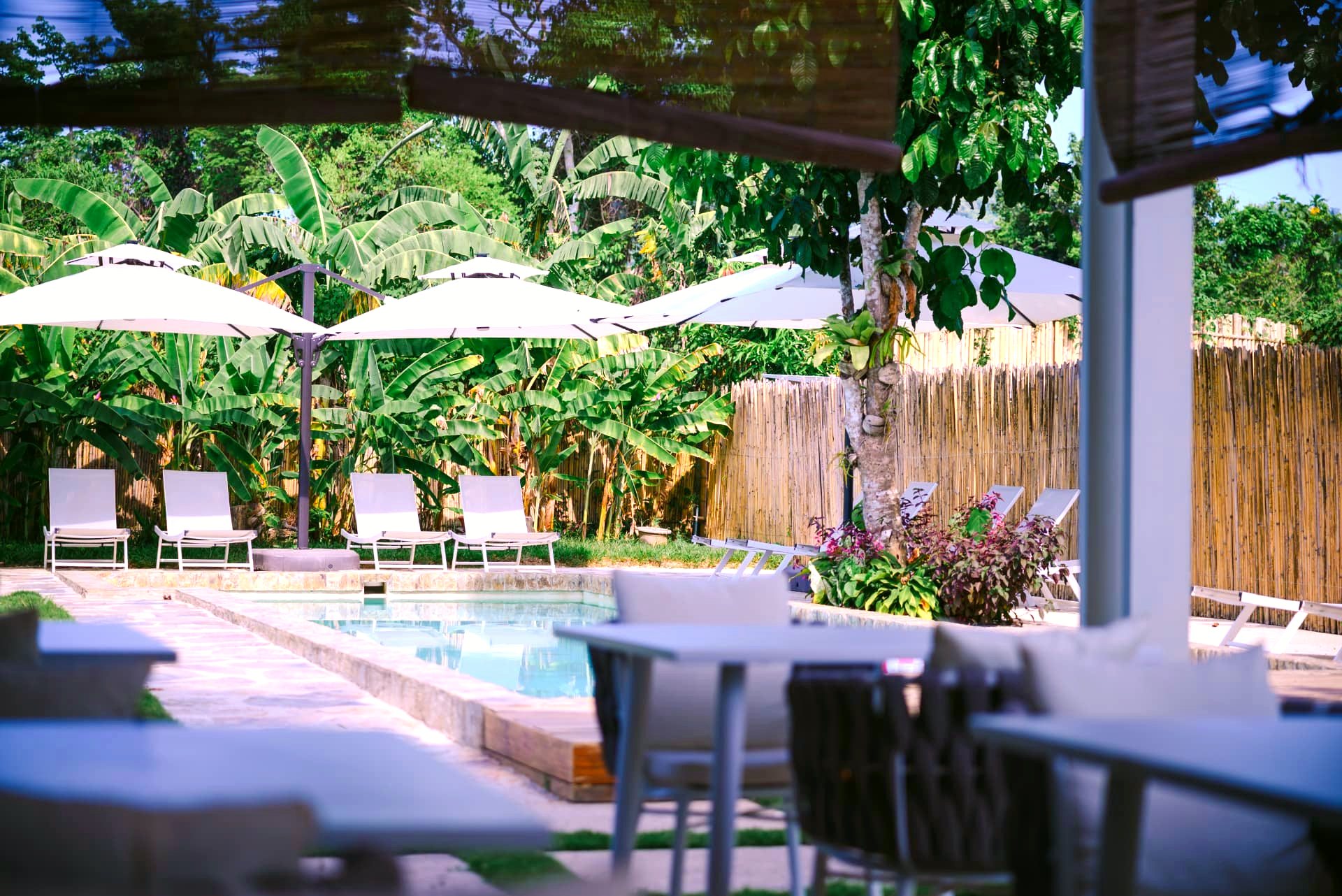 View of the pool from the restaurant terrace
