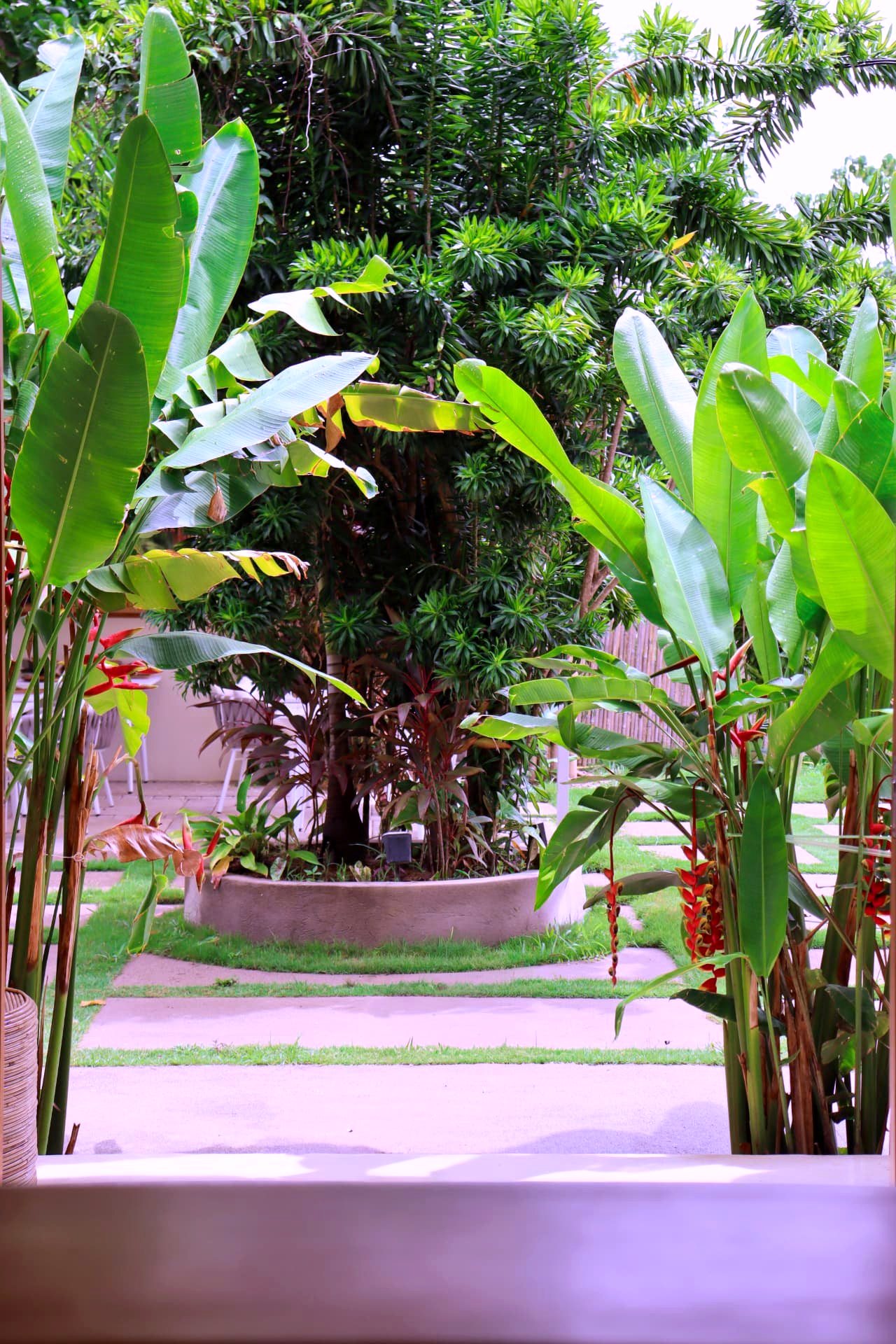 Garden path through banana palms and heliconia at Namal Resort